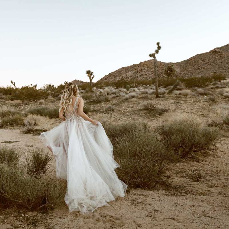 Desert Boheme