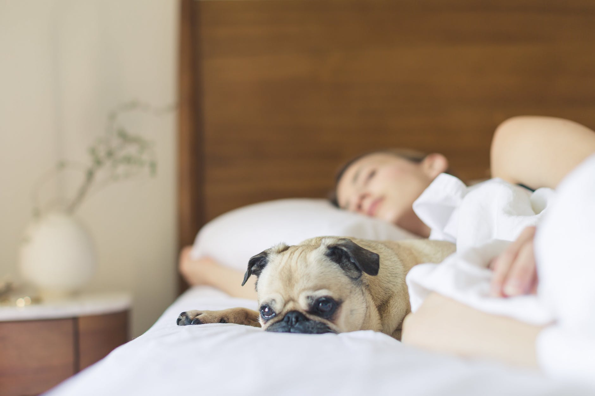 get ready for your wedding by getting a good night's sleep