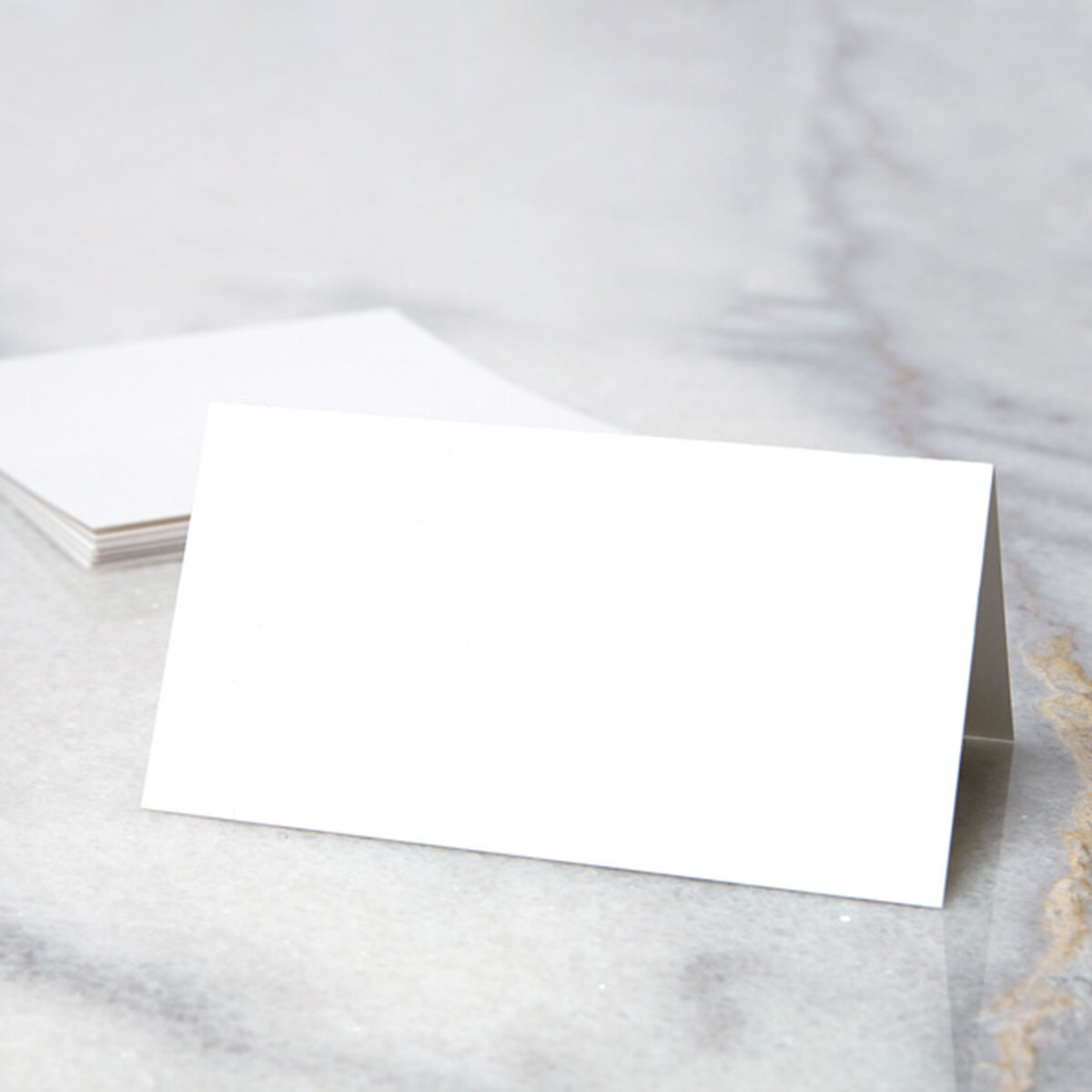 Blank Stock Place Cards