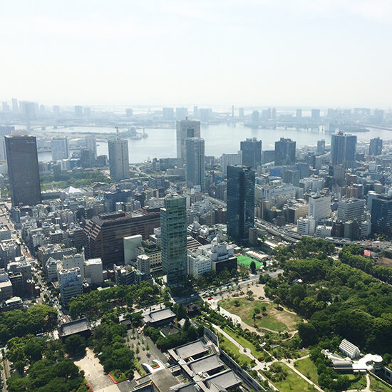 a south-eastern view of downtown Tokyo from on top of Tokyo Tower