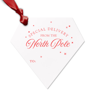 The Special Delivery From The North Pole Gift Tag has unique graphics together with your name on it and will be a wonderful surprise for your loved ones! Leave them speechless!