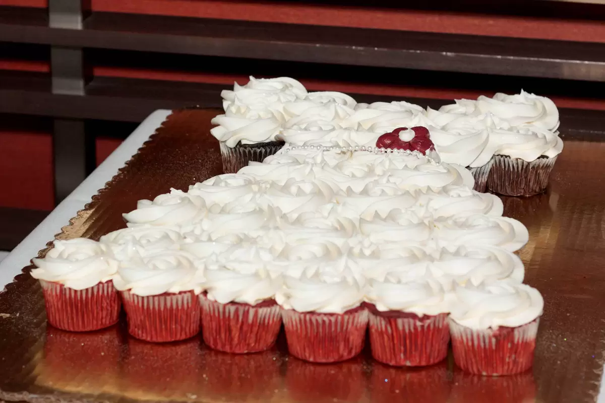 bridal shower cupcake dress