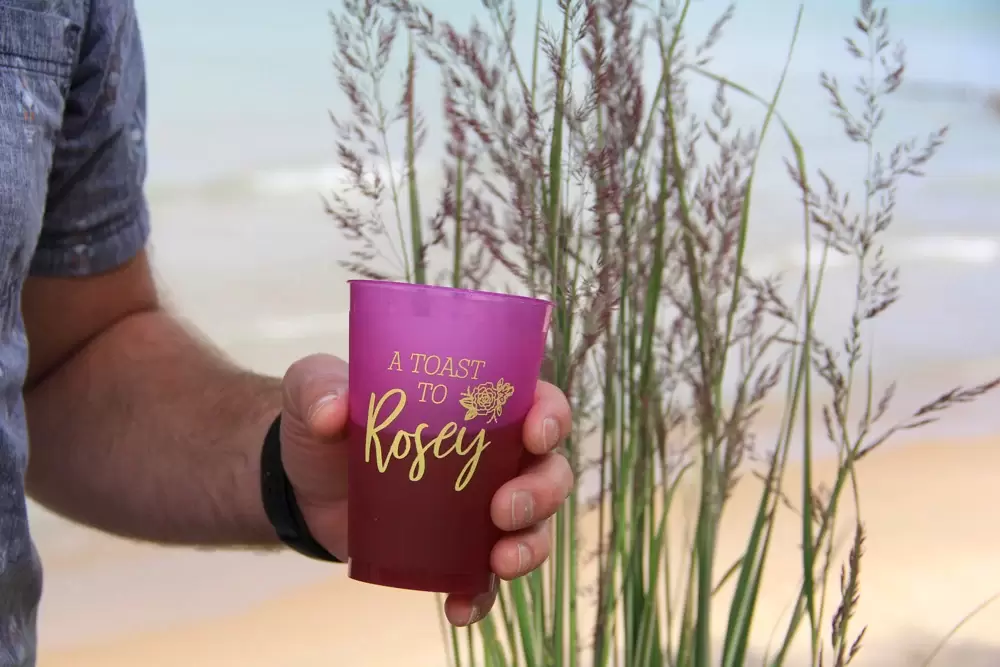a toast to rosey plastic party cups