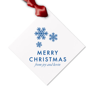 Decorate your gift like never before. This Letterpress Gift Tag with amazing graphics with Snowflakes and Merry Christmas letters will make their day! Get your Gift Tag now! 