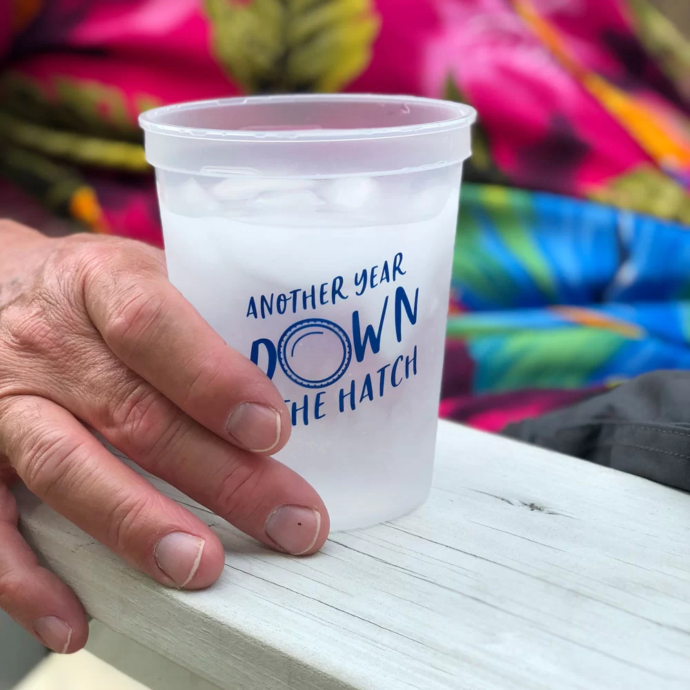 another year down the hatch party cups