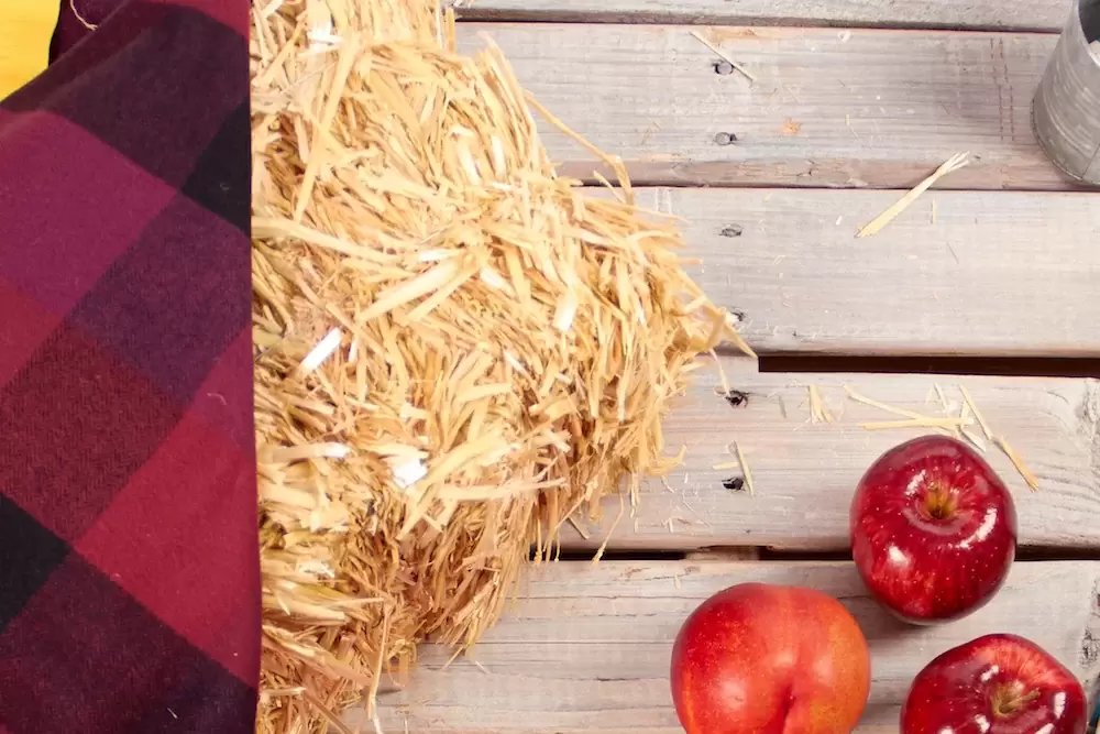 fall hay and plaid party decorations
