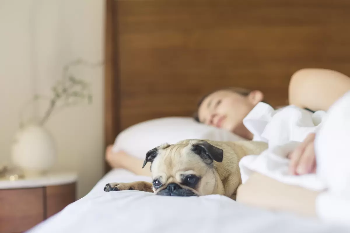 get ready for your wedding by getting a good night's sleep