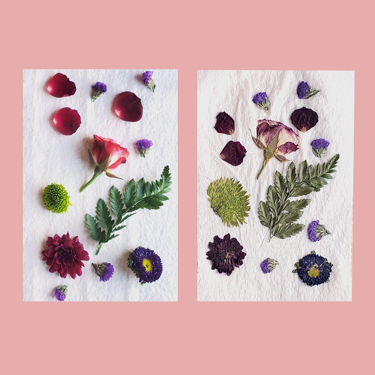 before and after of diy pressed flower craft