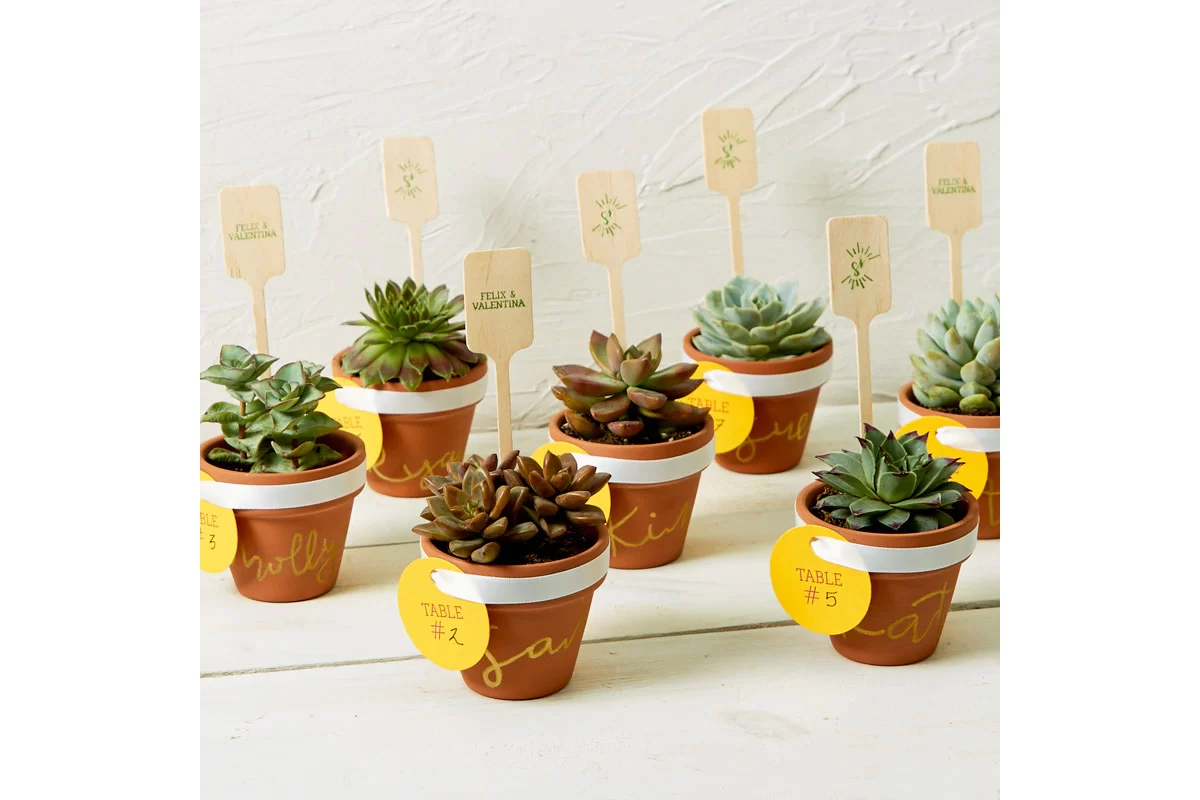 diy mini succulent pot as a place card