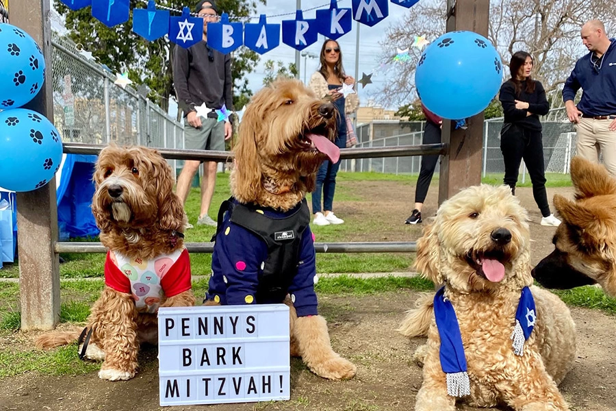 Planning a Bar or Bat Mitzvah