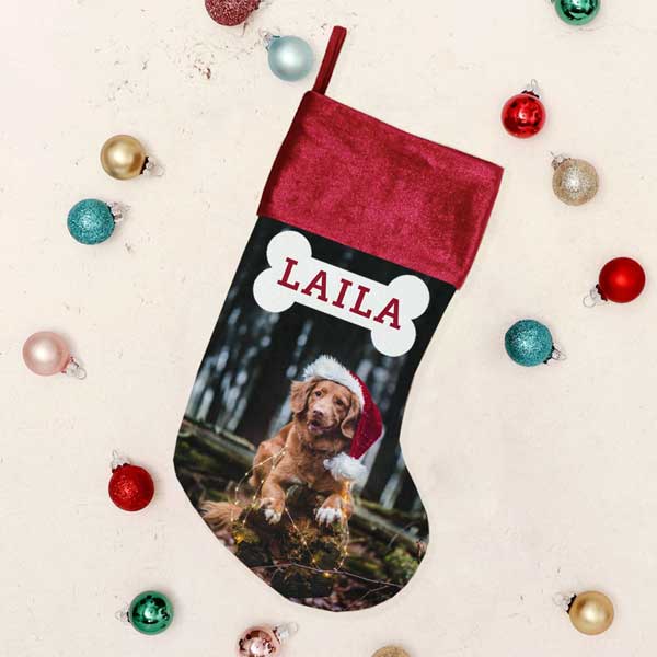 Dog Bone Photo Stocking