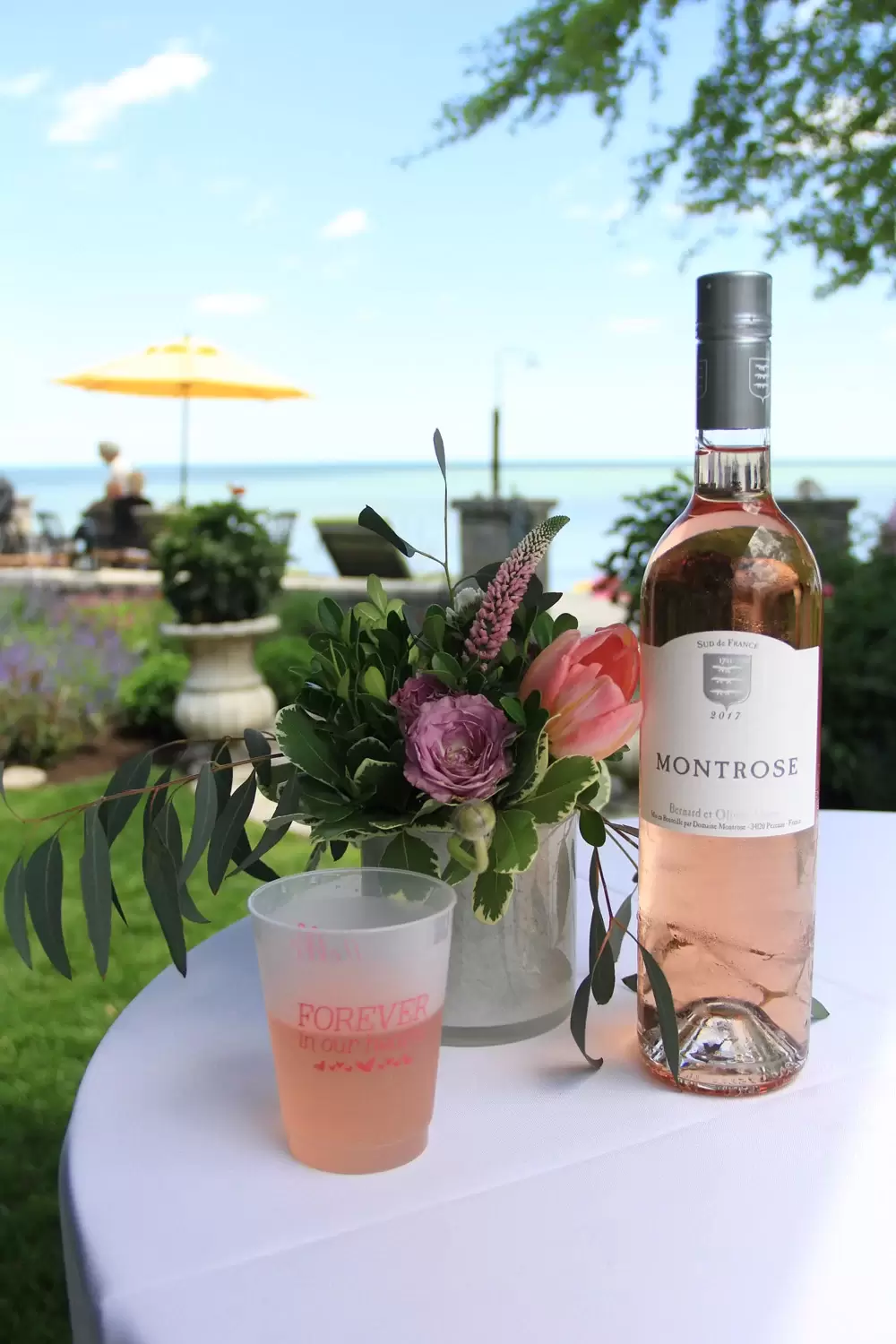 plastic wine party cups