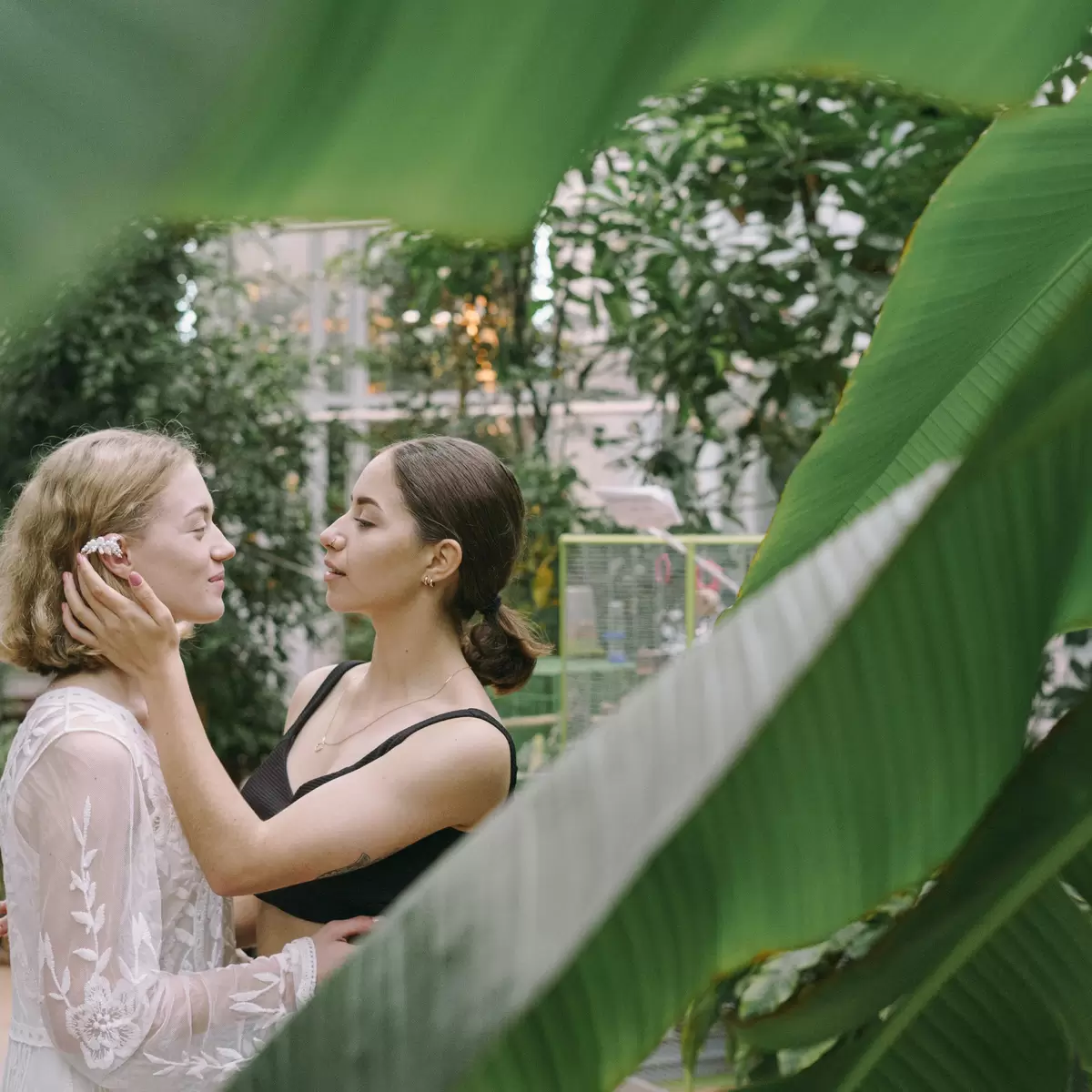 Botanical Bash Collection