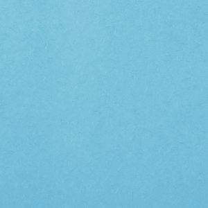 Our beautiful custom Turquoise 10 sheets Tissue Paper can't be beat. Showcase your style in every detail of your party's theme! Each sheet is 20 inches x 20 inches.