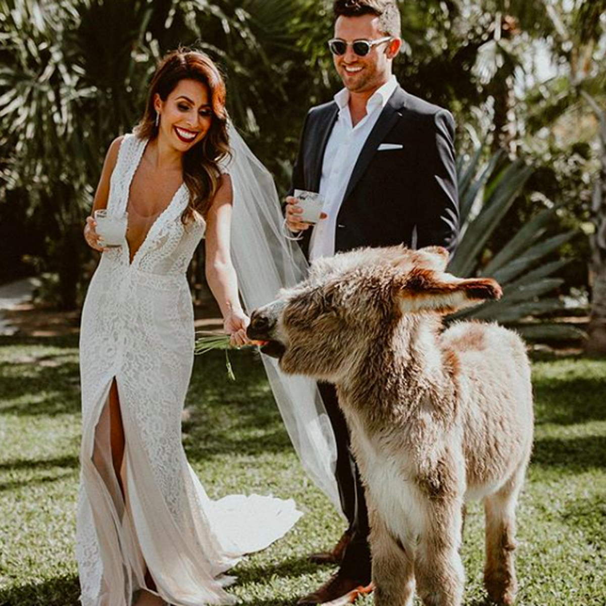 everyday pursuits destination wedding