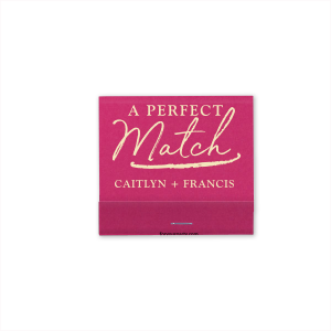 Modern Brush Perfect Match