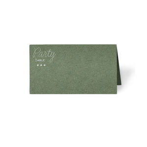 ForYourParty's elegant Stardream Navy Euro Place Card with Matte White Foil can be personalized to match your party's exact theme and tempo.
