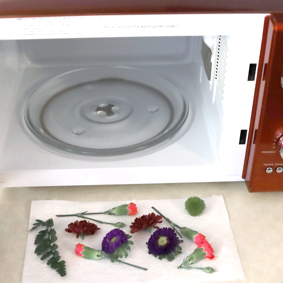 diy pressed flower craft step one