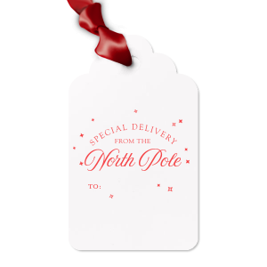 The Special Delivery From The North Pole Gift Tag has unique graphics together with your name on it and will be a wonderful surprise for your loved ones! Leave them speechless!