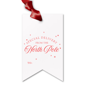 The Special Delivery From The North Pole Gift Tag has unique graphics together with your name on it and will be a wonderful surprise for your loved ones! Leave them speechless!