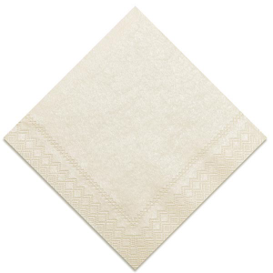 Blank Cocktail Napkins Party Supplies | For Your Party