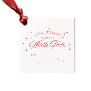 The Special Delivery From The North Pole Gift Tag has unique graphics together with your name on it and will be a wonderful surprise for your loved ones! Leave them speechless!