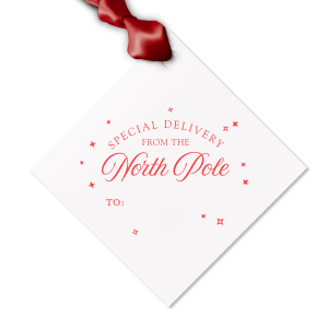 The Special Delivery From The North Pole Gift Tag has unique graphics together with your name on it and will be a wonderful surprise for your loved ones! Leave them speechless!