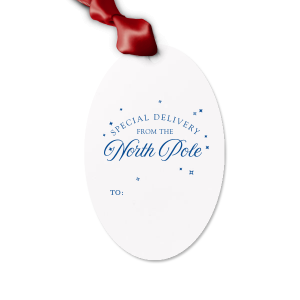 The Special Delivery From The North Pole Gift Tag has unique graphics together with your name on it and will be a wonderful surprise for your loved ones! Leave them speechless!