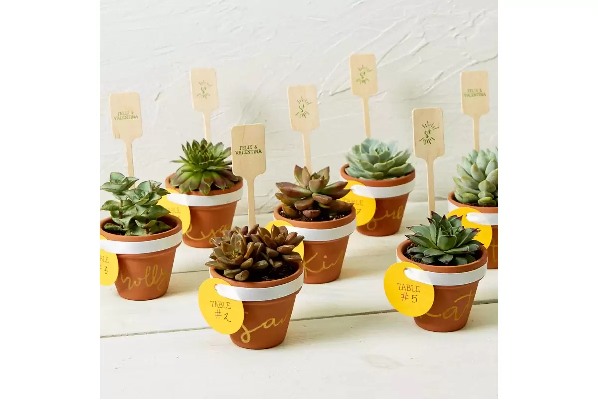 diy mini succulent pot as a place card