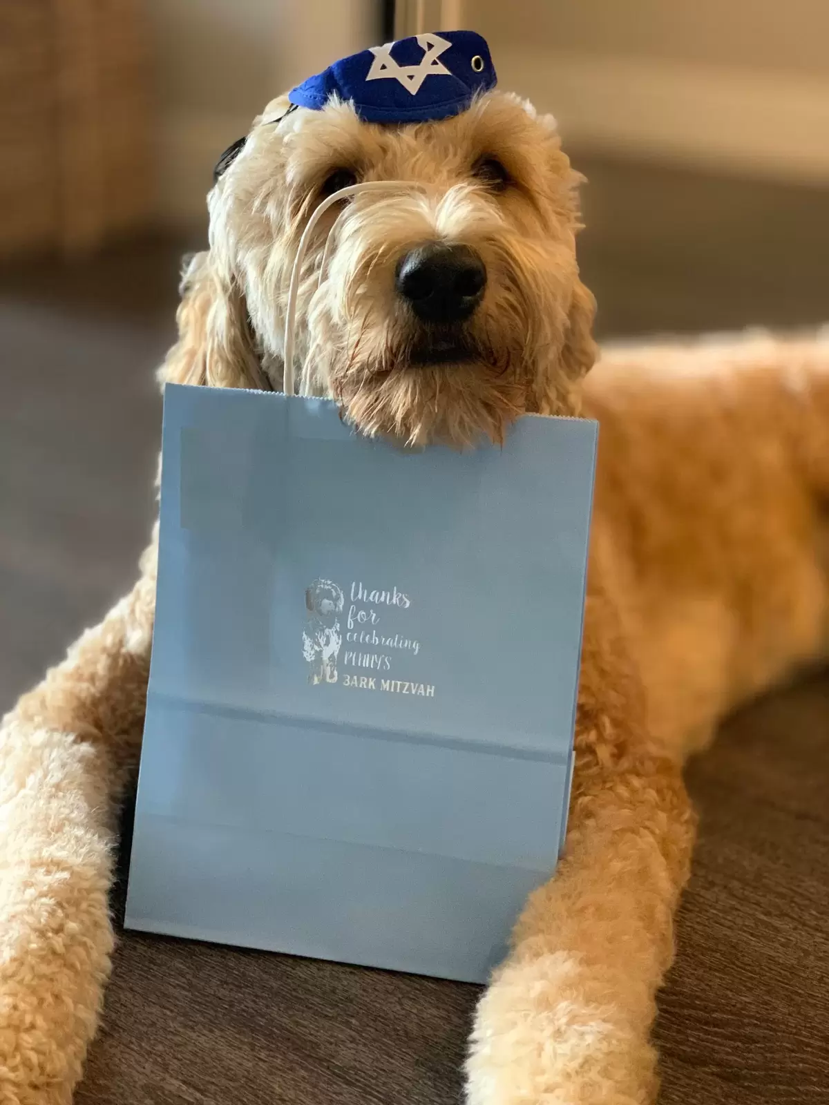 Penny and her party favor bags for her Bark Mitzvah