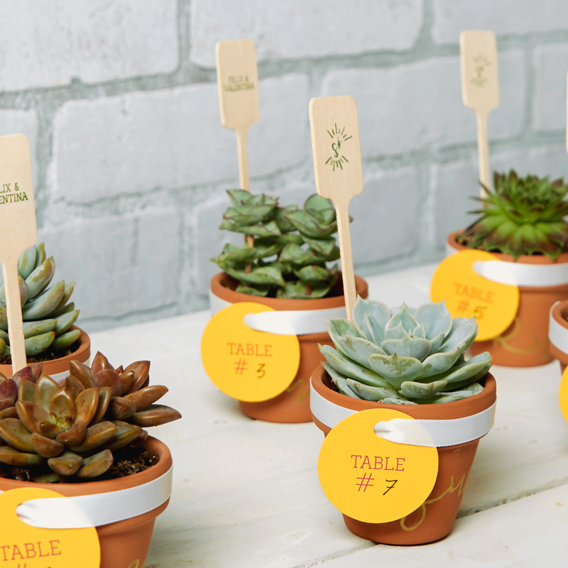 DIY Succulent Place Cards and Party Favors | For Your Party