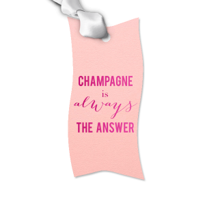 ForYourParty's elegant Poptone Ballet Pink Double Point Gift Tag with Shiny Fuchsia Foil will impress guests like no other. Make this party unforgettable.