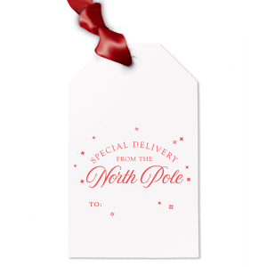 The Special Delivery From The North Pole Gift Tag has unique graphics together with your name on it and will be a wonderful surprise for your loved ones! Leave them speechless!
