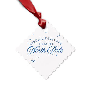 The Special Delivery From The North Pole Gift Tag has unique graphics together with your name on it and will be a wonderful surprise for your loved ones! Leave them speechless!