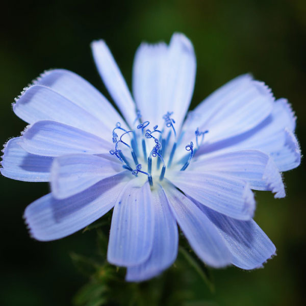 A New Chapter Begins romantic bridal shower party accessories