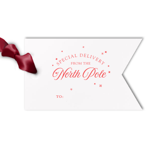 The Special Delivery From The North Pole Gift Tag has unique graphics together with your name on it and will be a wonderful surprise for your loved ones! Leave them speechless!