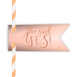 Our beautiful custom Stardream Ballet Pink Double Point Straw Tag with Satin Copper Penny Foil are a must-have for your next event—whatever the celebration!
