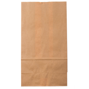 Popcorn Bag