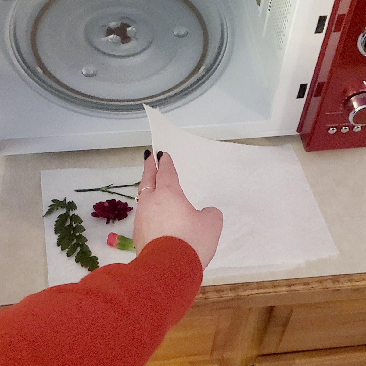 diy pressed flower craft step two