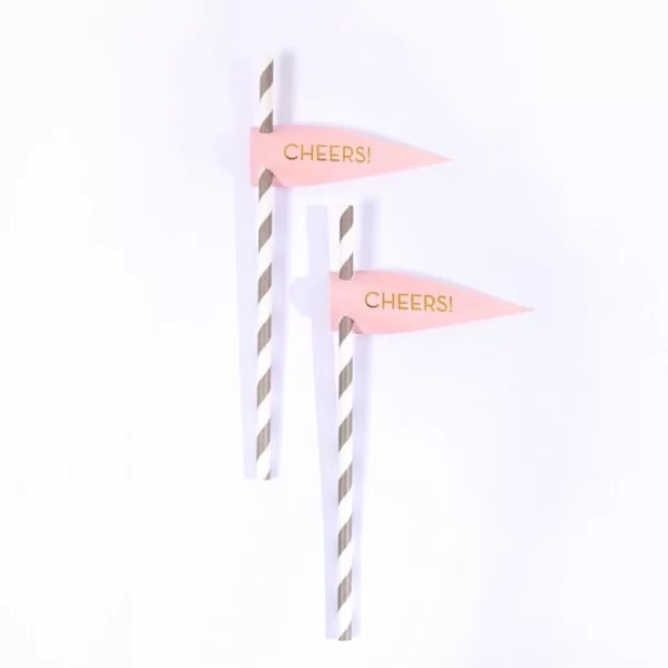cheers straw tags for cute cocktails