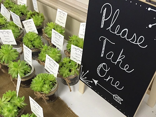 Succulent wedding favors