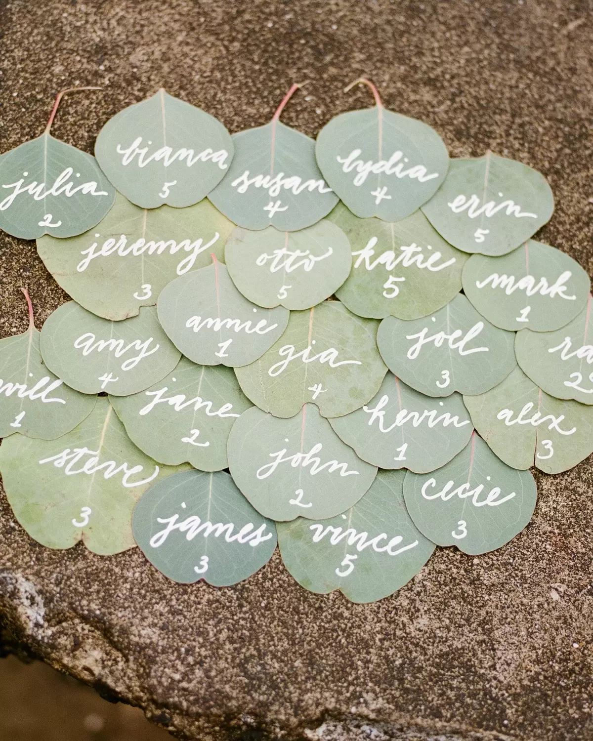 wedding reception escort cards on eucalyptus leaves