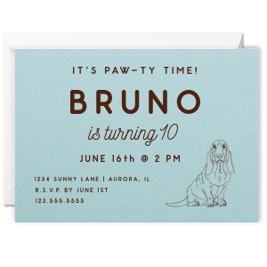 Get this amazing It's Paw-Ty Time Invitation and invite your guests with a unique customizable invitation that they have never seen. Start your party like never before!
