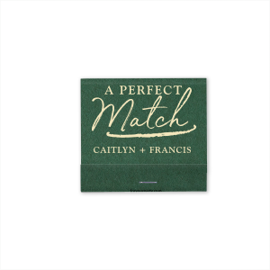 Modern Brush Perfect Match