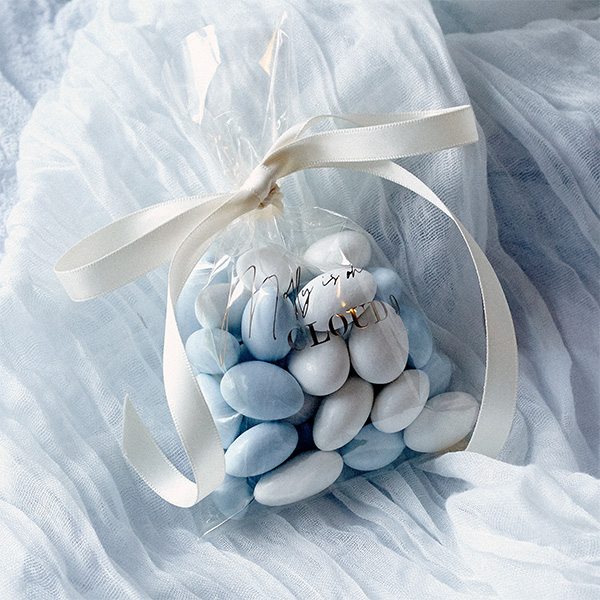 Cloud 9 Bridal Shower Bag