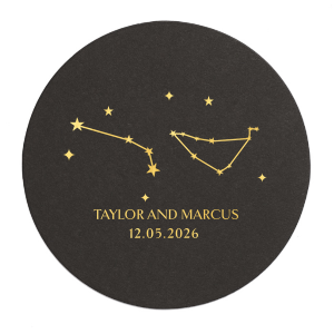 Written in the Stars Coaster