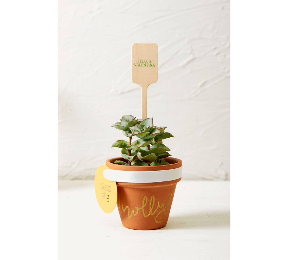 mini place cards