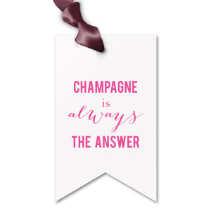 ForYourParty's elegant Poptone Ballet Pink Double Point Gift Tag with Shiny Fuchsia Foil will impress guests like no other. Make this party unforgettable.