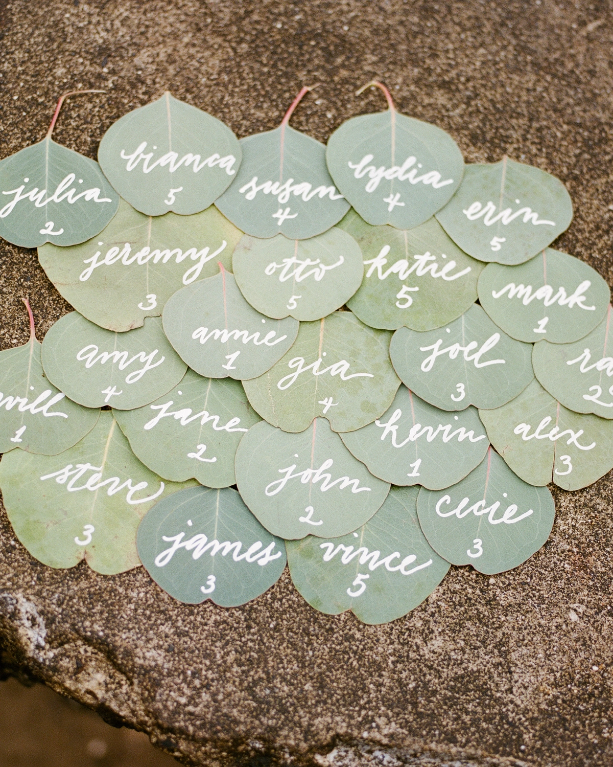 wedding reception escort cards on eucalyptus leaves