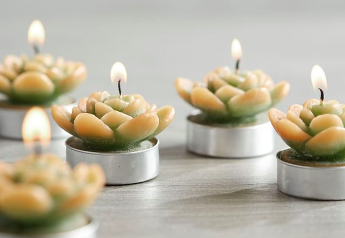 Succulent Tea Light Wedding Favors from Pottery Barn